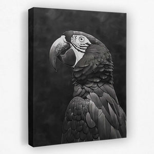 a black and white photo of a parrot