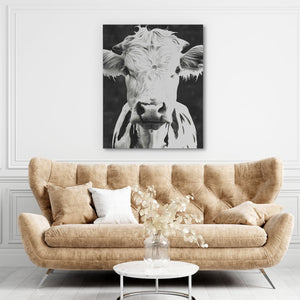 Bovine Portrait