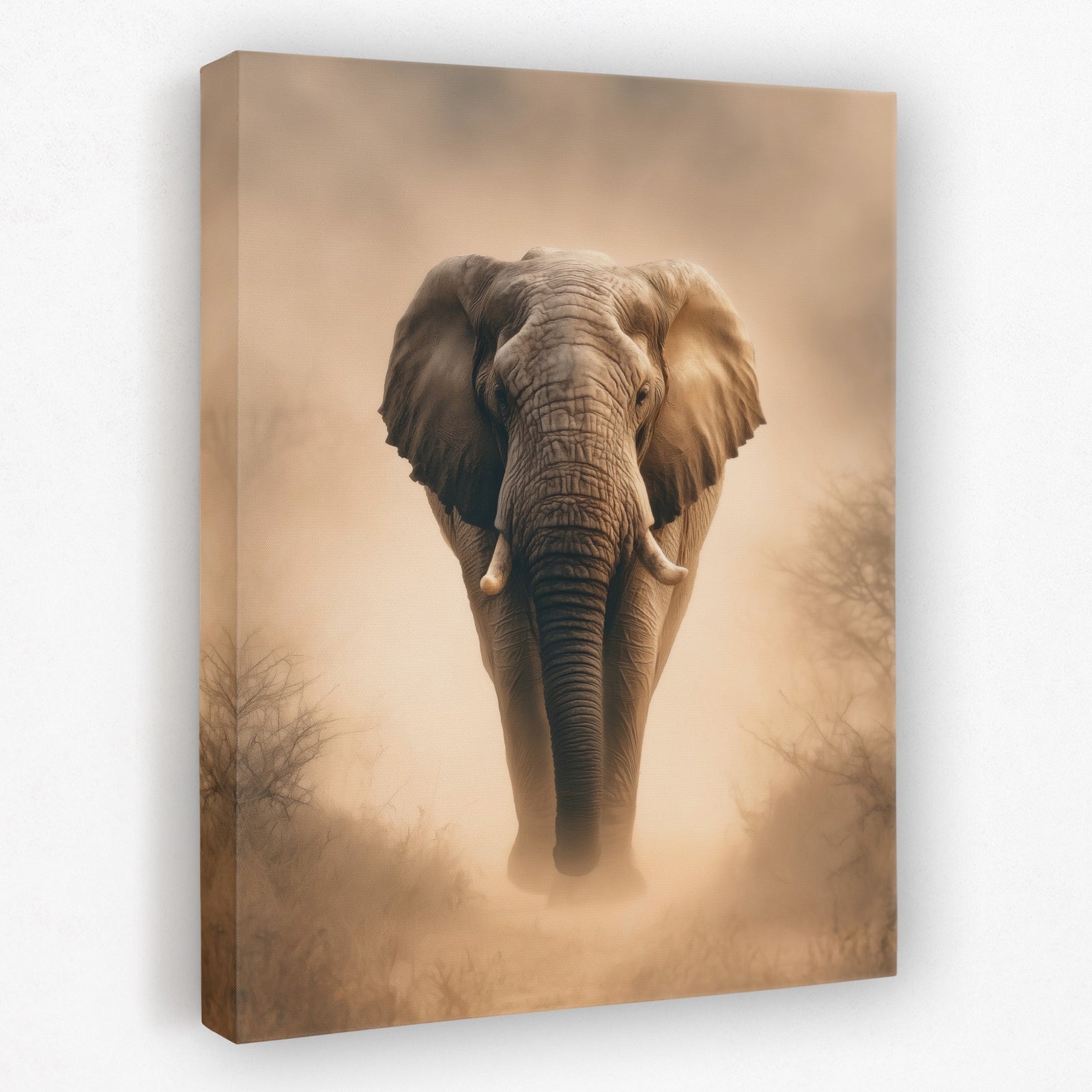 African Elephant Morning Mist canvas wall art