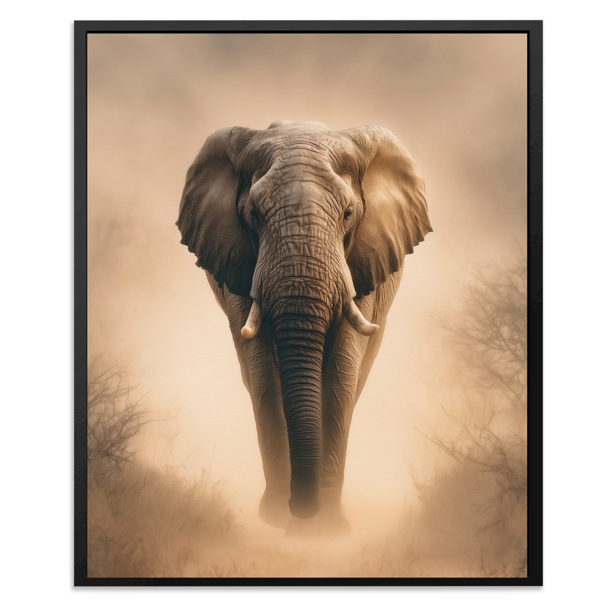 African Elephant Morning Mist — African Elephant Morning Mist Front Facing Portrait2 146