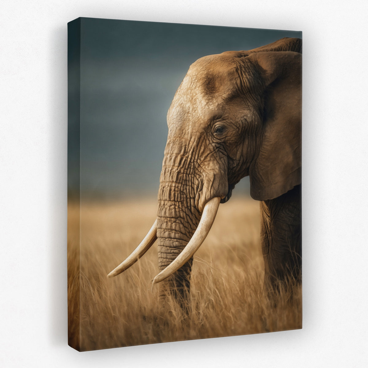 African Elephant Portrait — African Elephant Portrait Portrait   Side View   Mirror 267