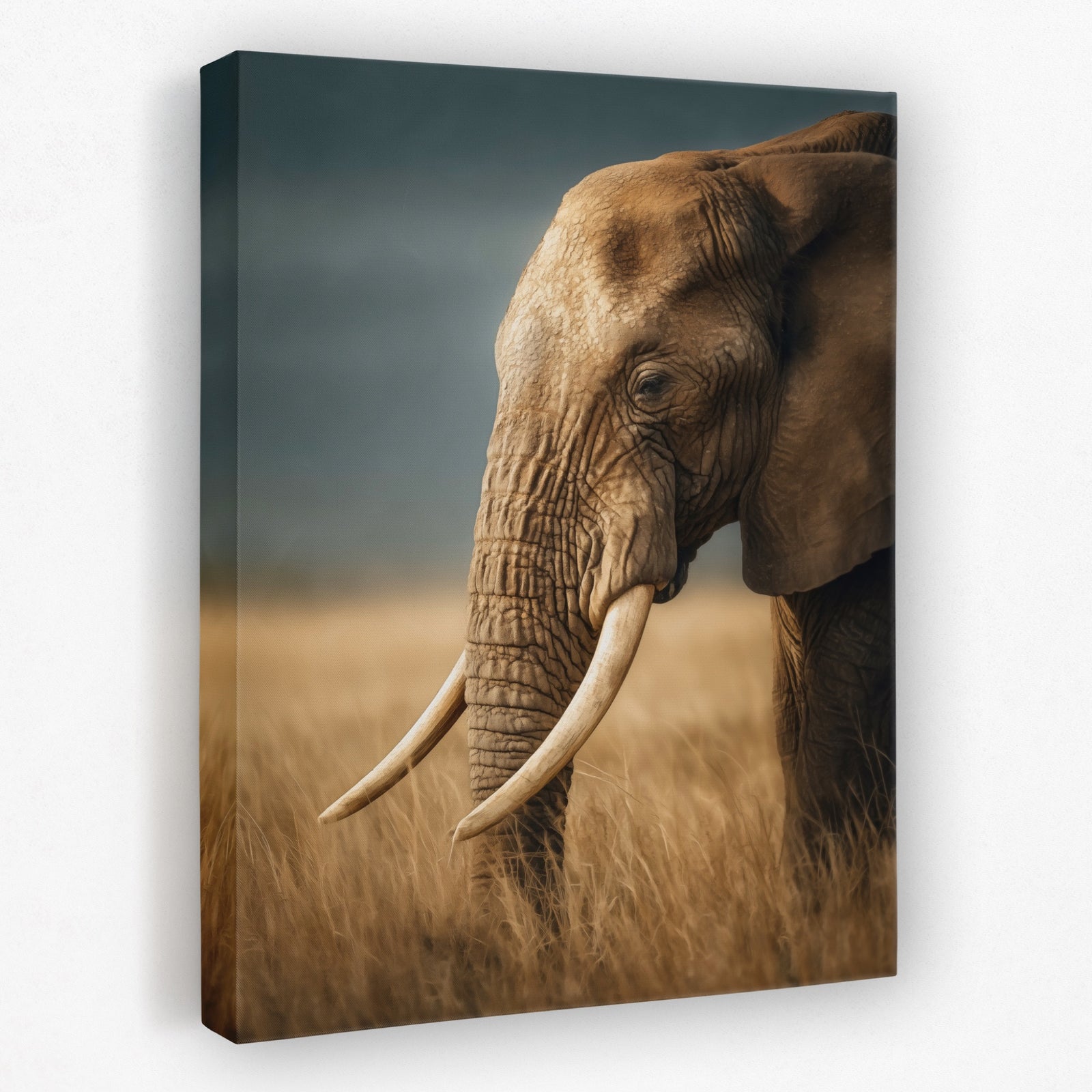 African Elephant Portrait canvas wall art