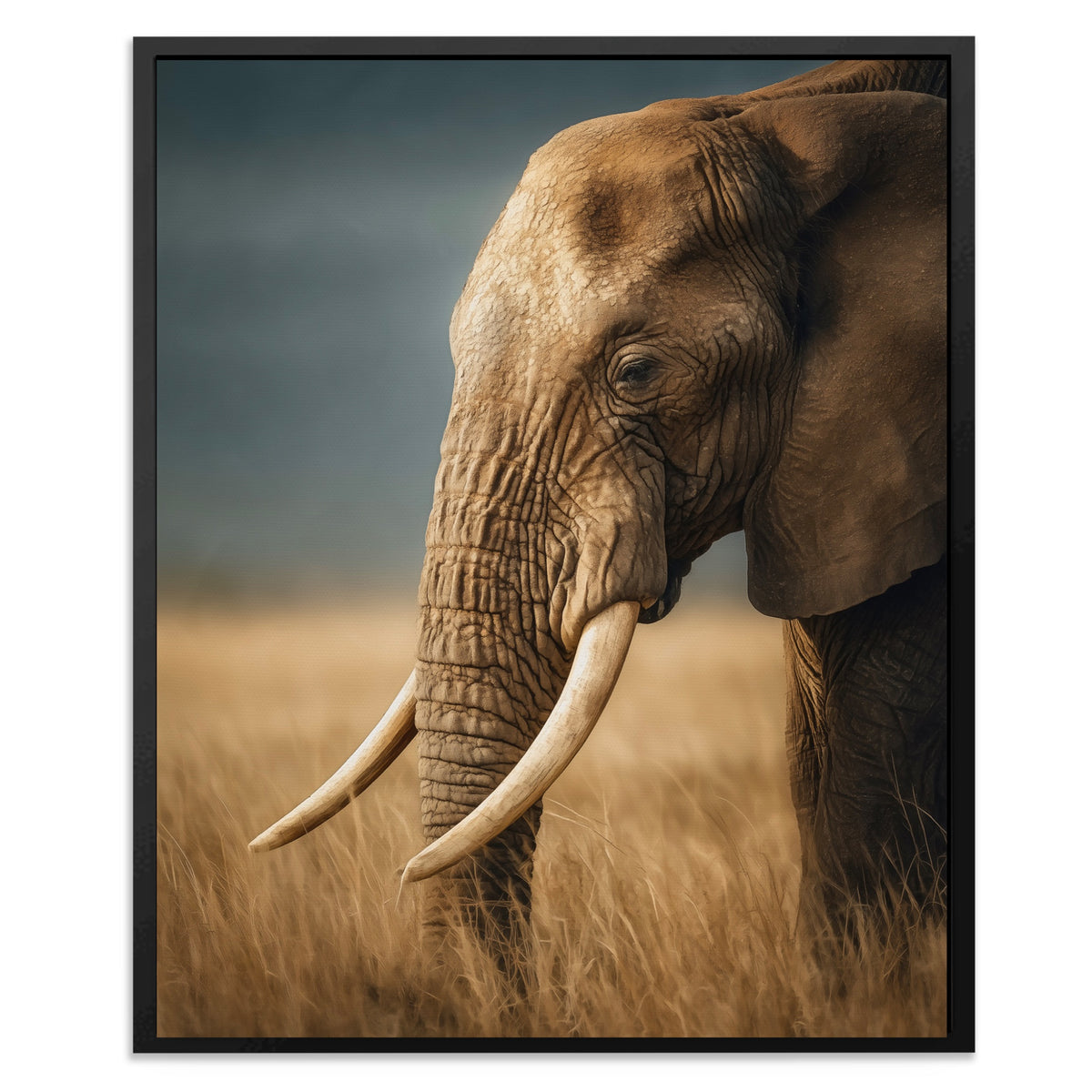 African Elephant Portrait — African Elephant Portrait Front Facing Portrait2 147