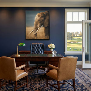 African Elephant Portrait — African Elephant Portrait Golf House Blue Port 171
