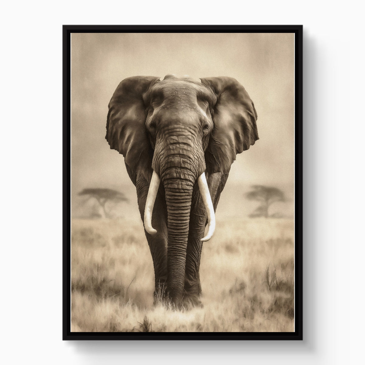 African Lion Standing — african lion standing white studio framed black