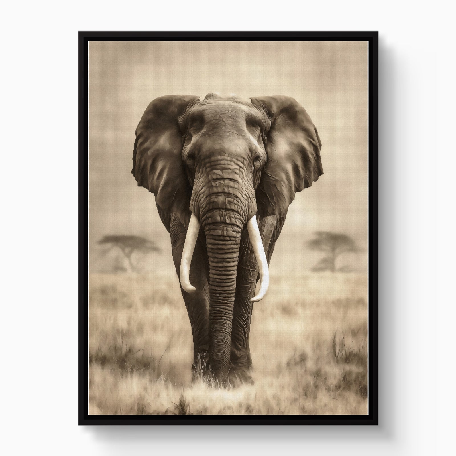African Lion Standing — african lion standing white studio framed black