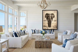 African Lion Standing — african lion standing living room with furniture 2 1port framed black