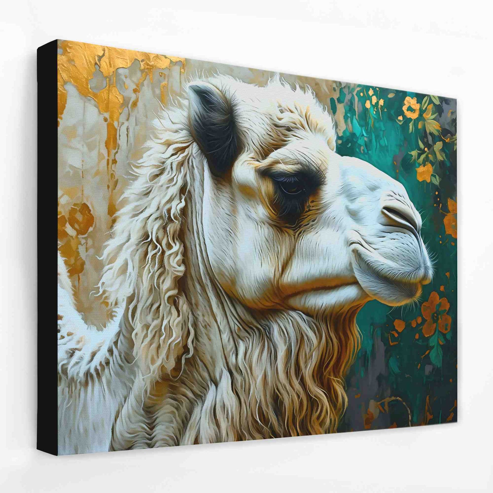 Albino Camel - Albino Canvas Wall Art