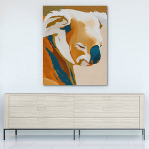 Albino Koala Color Break — Albino Koala Color Break White Wall 295