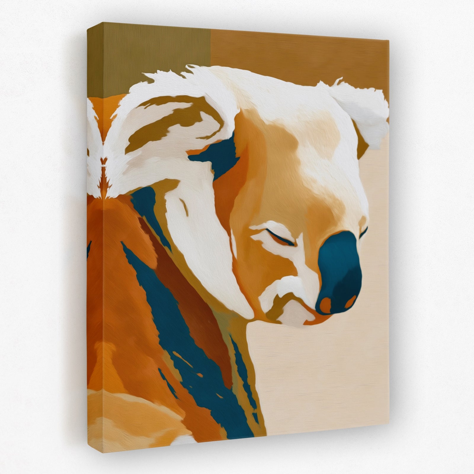 Albino Koala Color Break canvas wall art