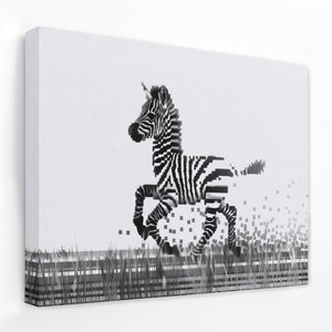 a black and white picture of a zebra running