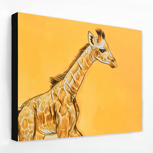 Baby Giraffe - Luxury Wall Art