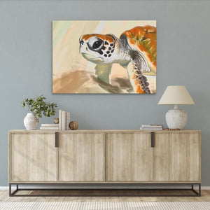 Baby Turtle - Luxury Wall Art