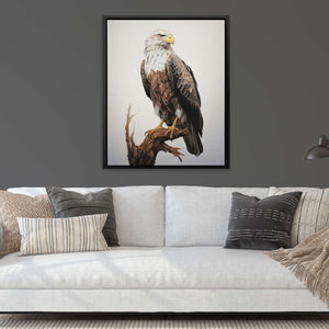 Bald Eagle Drawing - Luxury Wall Art