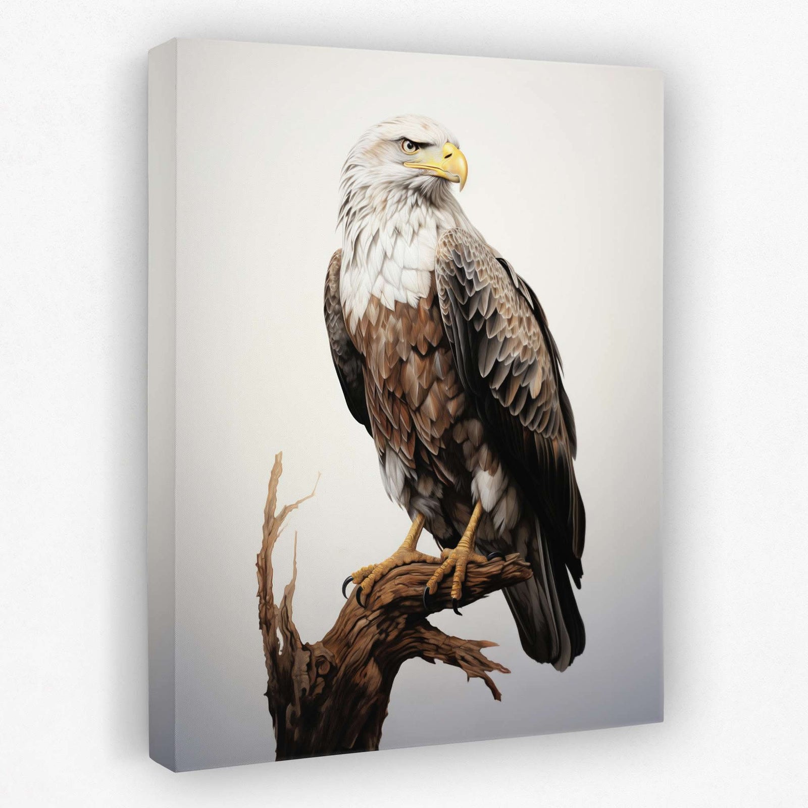 Bald Eagle Drawing - America Canvas Wall Art