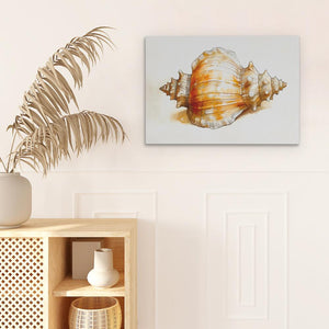 a picture of a sea shell on a wall