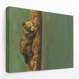 Bear Cub Climbing - Luxury Wall Art