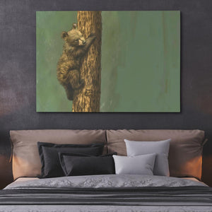 Bear Cub Climbing - Luxury Wall Art