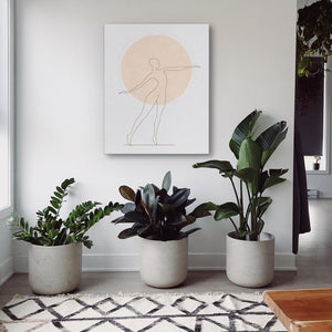 three potted plants sit in front of a painting on the wall