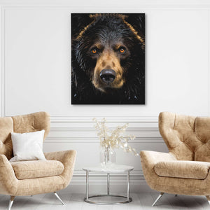 Black Bear - Luxury Wall Art