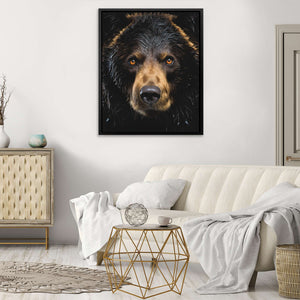 Black Bear - Luxury Wall Art