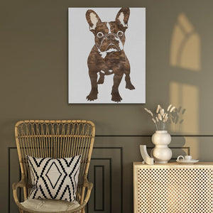 Brown Frenchie Portrait - Luxury Wall Art