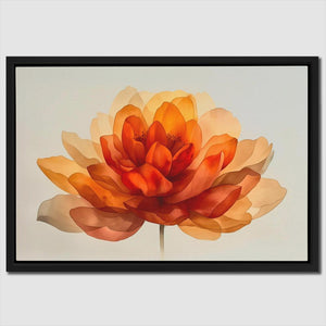 a picture of a large orange flower on a white background