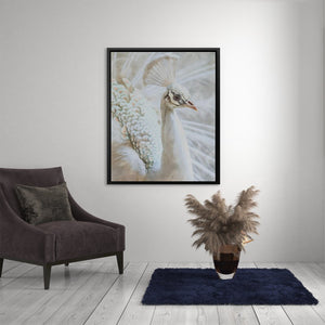 a white peacock in a room with a chair and rug