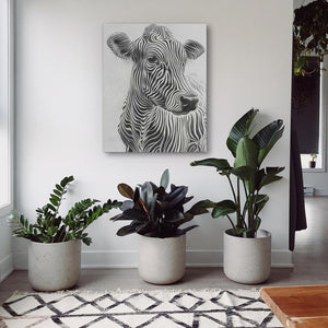 three potted plants in front of a picture of a cow