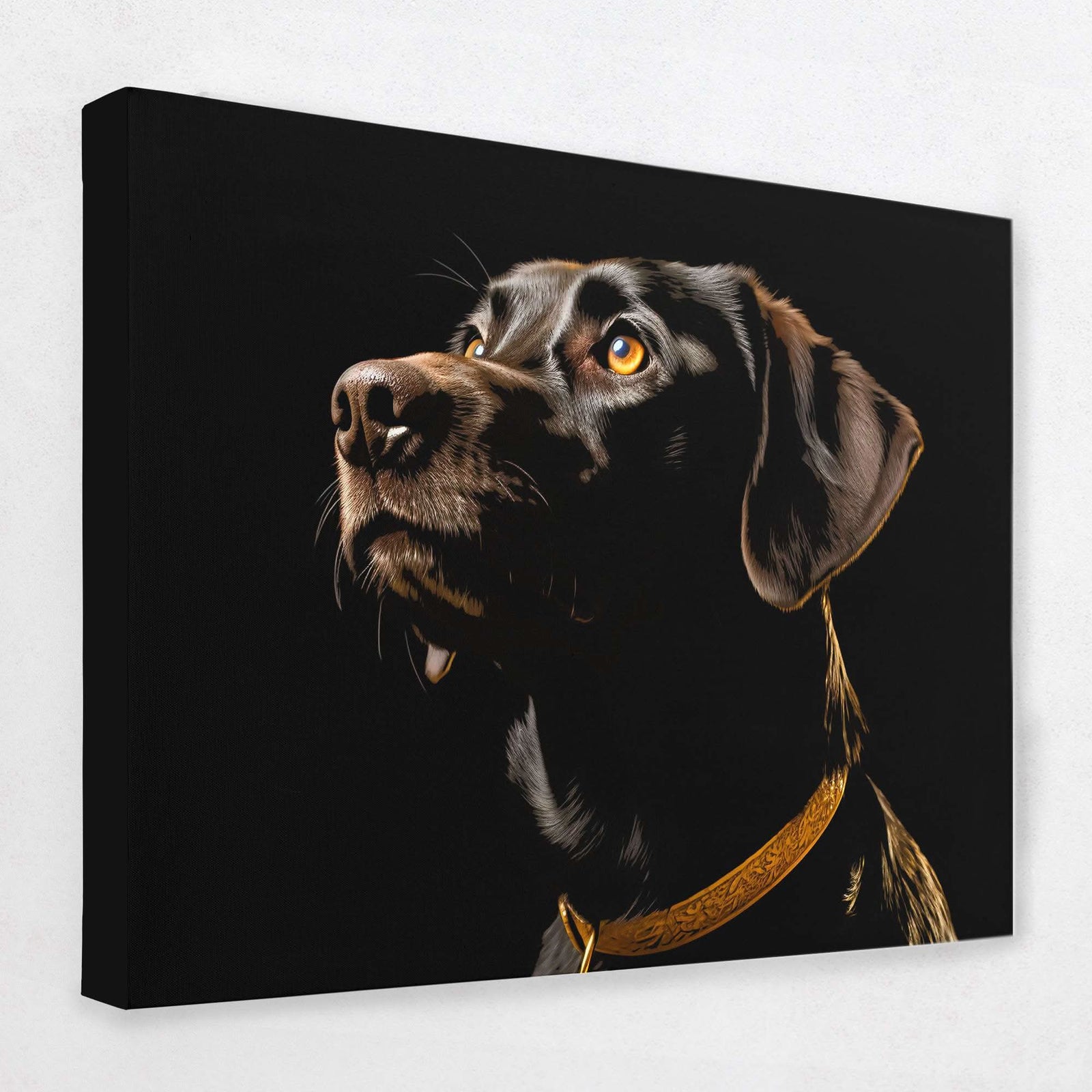 Chocolate Gaze - Animals Canvas Wall Art