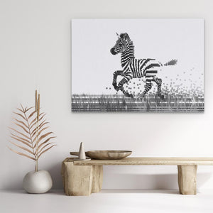 a picture of a zebra running across a field