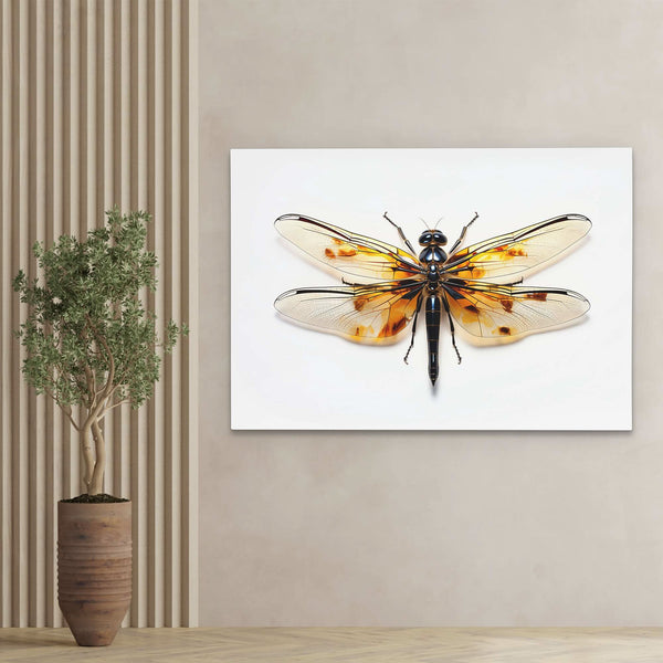 Dragonfly Arts in a room
