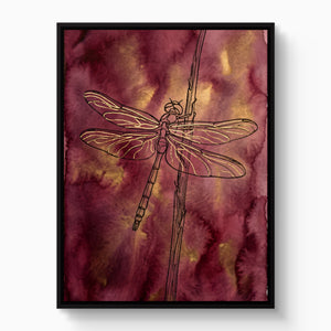 Dragonfly Crimson Gold — dragonfly crimson gold white studio framed black