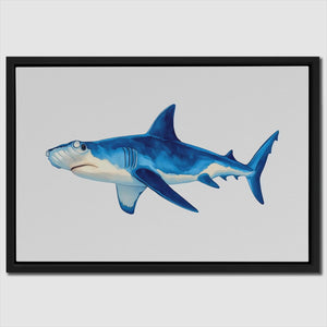 a picture of a blue and white shark