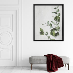 Eucalyptus - Luxury Wall Art