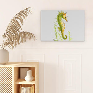 a picture of a sea horse on a wall