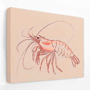 a drawing of a shrimp on a pink background