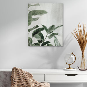 Ficus Plants - Luxury Wall Art