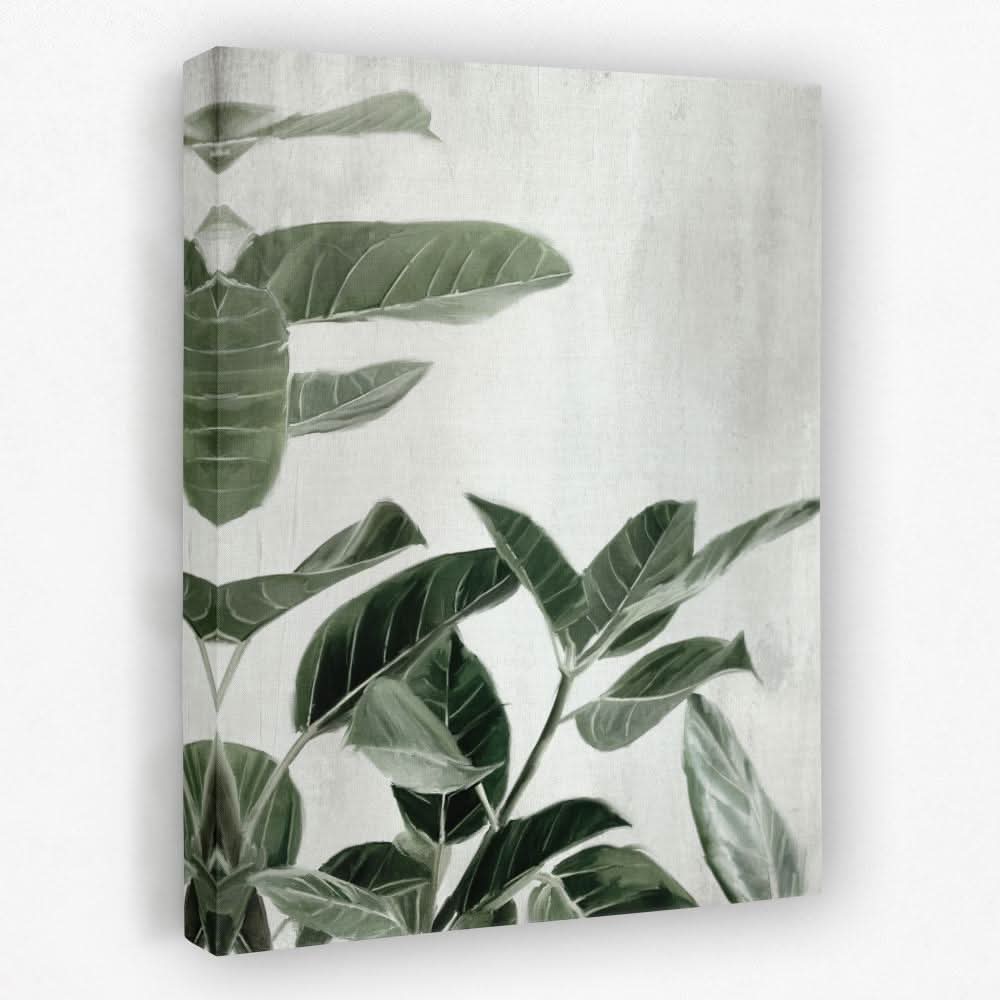 Ficus Plants - Floral Canvas Wall Art