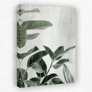 Ficus Plants - Luxury Wall Art