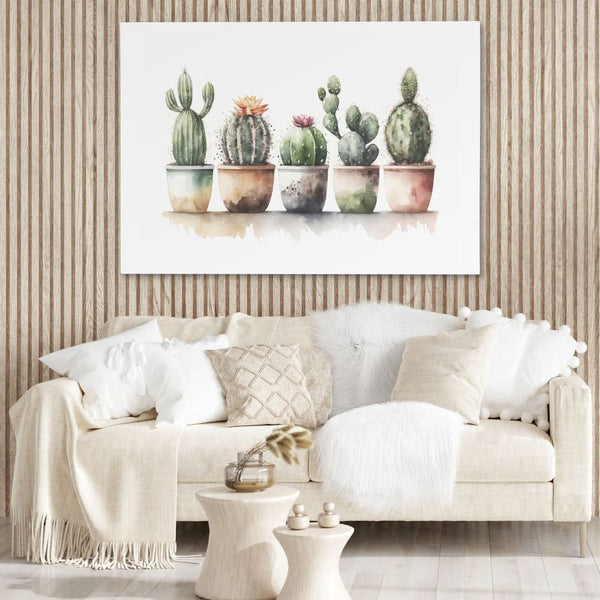 Flowering Cacti in a room