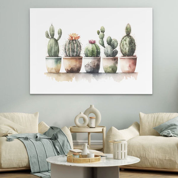 Flowering Cacti in a room