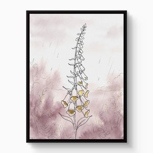 Foxglove Rains — foxglove rains white studio framed black