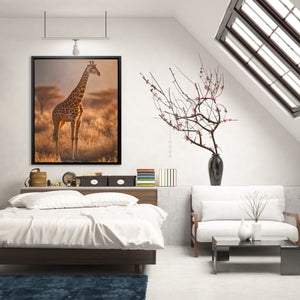 Giraffe Dawn Solitude — Giraffe Dawn Solitude Lighted Room 162