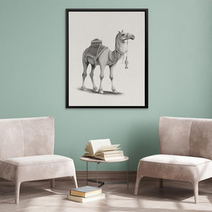 Graphic Camel - Luxury Wall Art