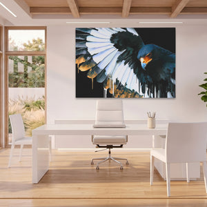 Hawk Bowing Descent — Hawk Bowing Descent Beach House Office Land 44
