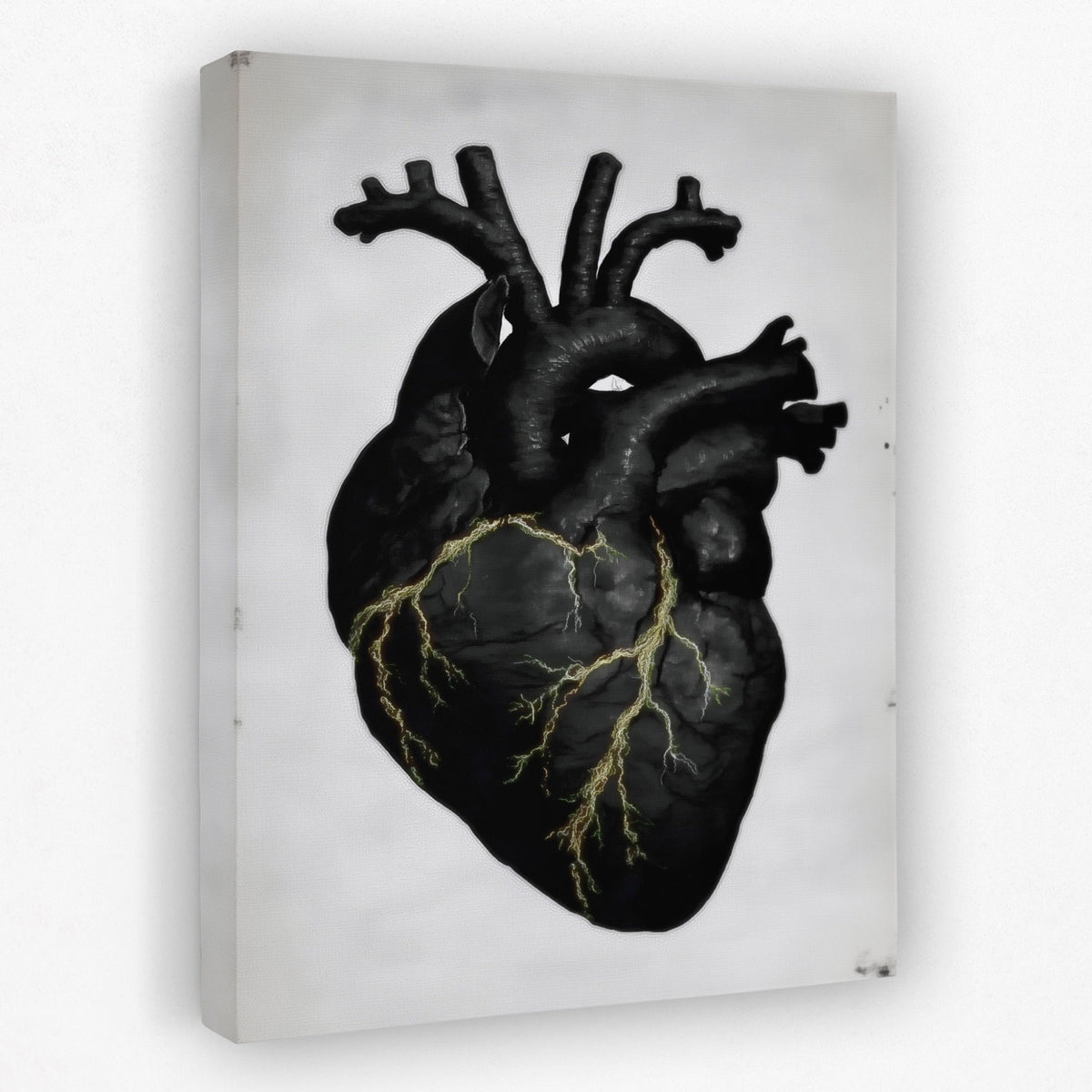 Heart Anatomical canvas wall art