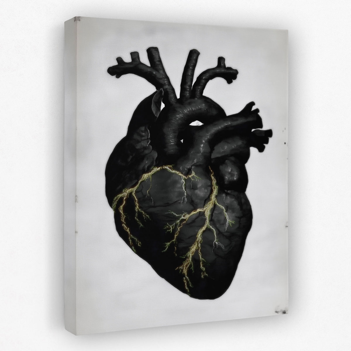 Heart Anatomical — Heart Anatomical Portrait   Side View   Mirror 188