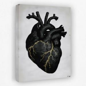 Heart Anatomical — Heart Anatomical Portrait   Side View   Mirror 188