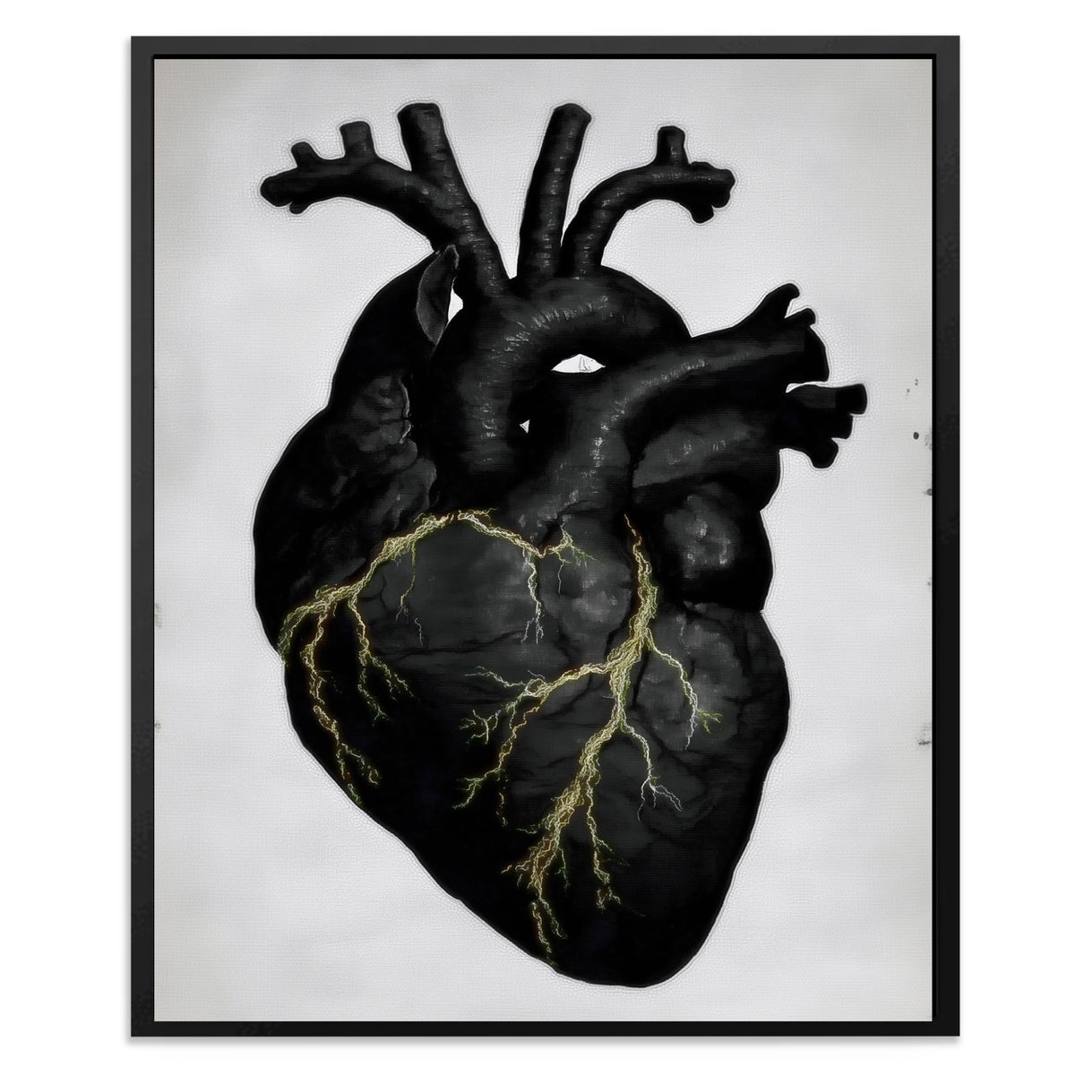 Heart Anatomical — Heart Anatomical Front Facing Portrait2 34